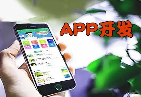 电商APP开发